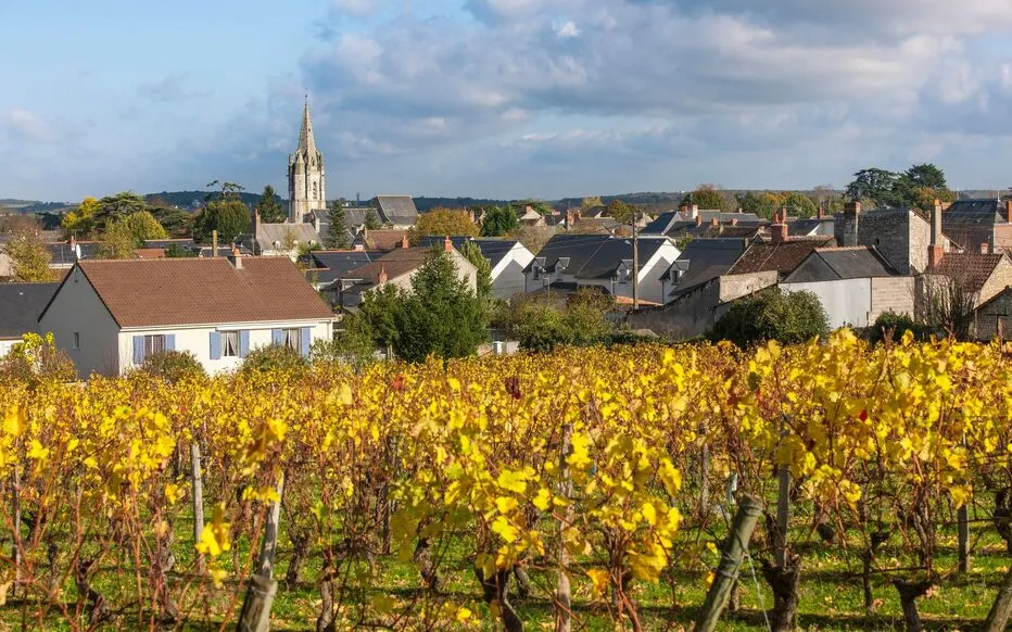 Vue de Beaumont-en-Véron en Indre-et-Loire, avec les vignes au premier plan, les maisons du village et le clocher de l’église.