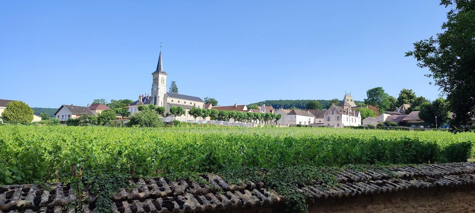 Vue de Chorey-lès-Beaune avec l’église Saint-Luc au milieu des vignobles