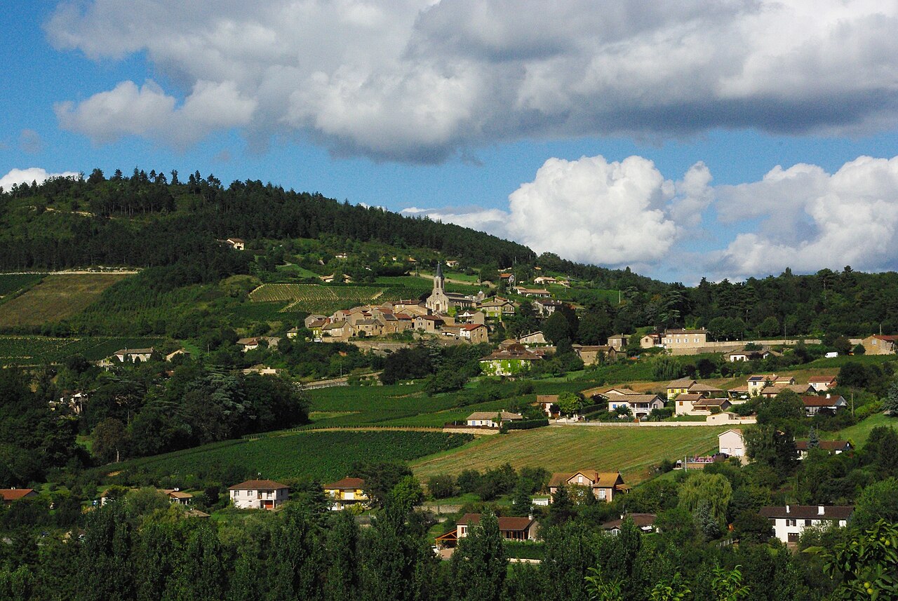 Vue panoramique de La Roche-Vineuse entourée de vignobles et de collines du Mâconnais