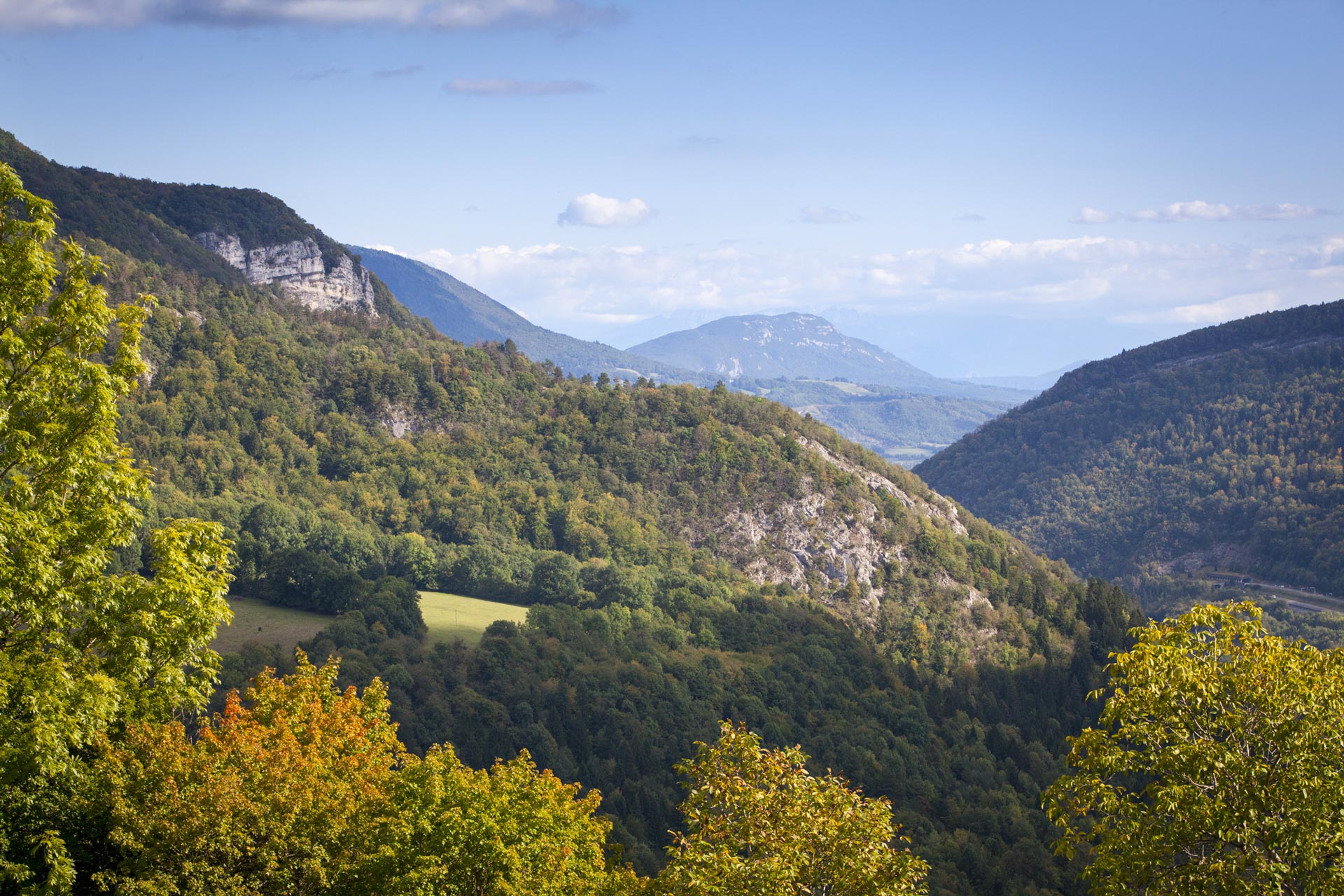 Vue panoramique sur les montagnes et les forêts autour de Plagne dans l’Ain