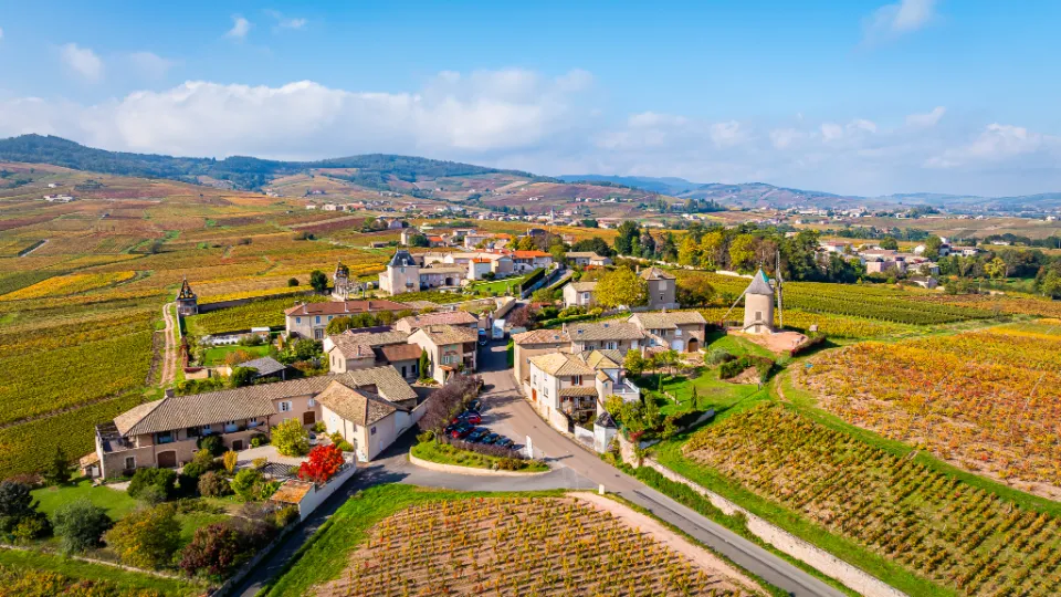 Vue panoramique des vignobles de Romanèche-Thorins autour du Moulin-à-Vent