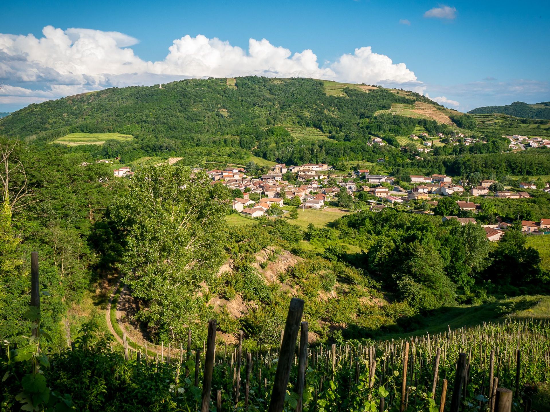 Vue de Saint-Désirat entouré de vignobles et de collines verdoyantes en Ardèche
