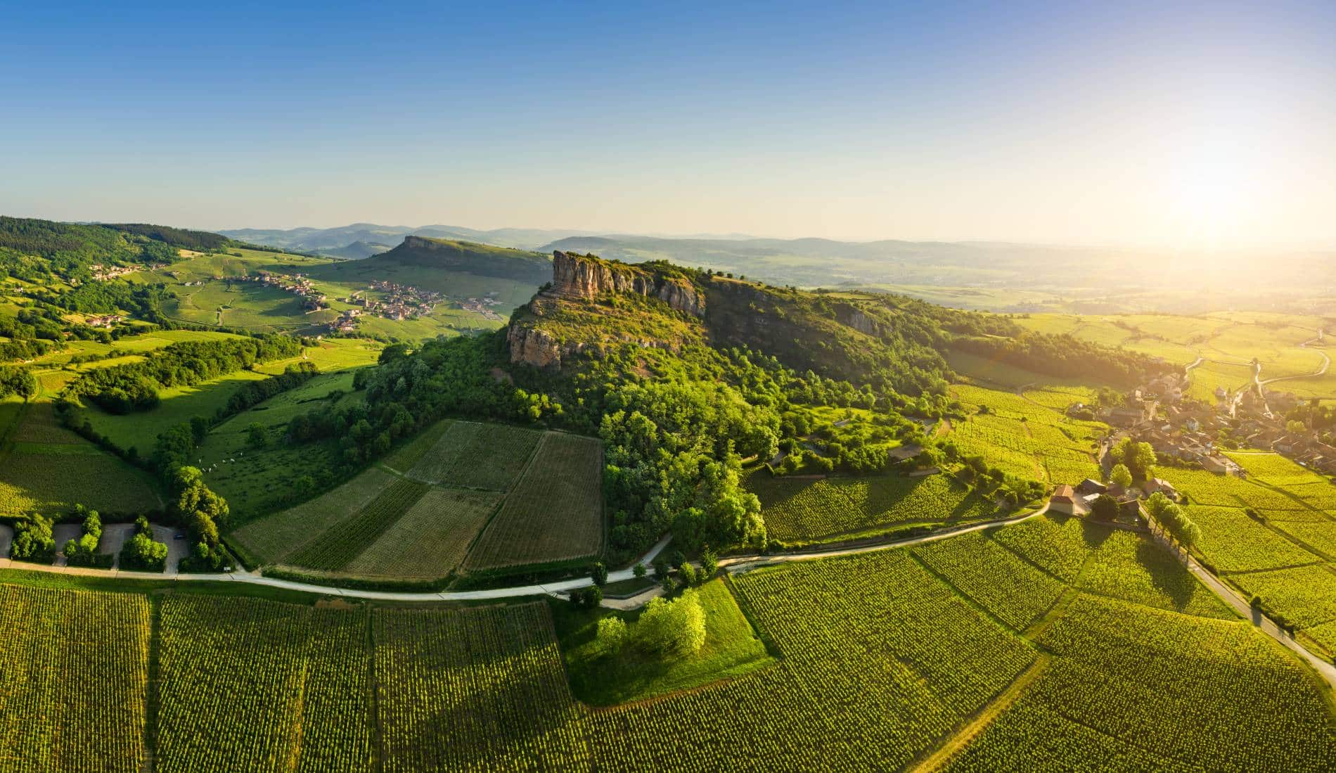 Vue aérienne de la Roche de Solutré entourée des vignobles du Mâconnais