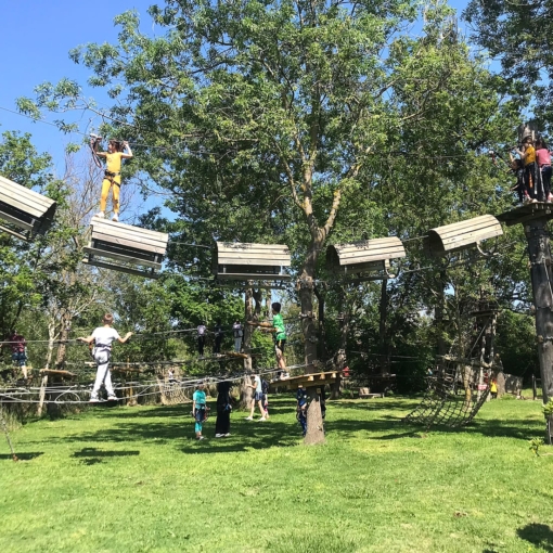 Parc Argelès Aventure dans les Pyrénées-Orientales, parcours accrobranche et activités ludiques en plein air, idéal pour familles, enfants et amateurs de sensations fortes à Argelès-sur-Mer.