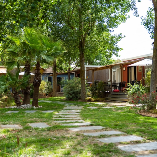 Allée verdoyante menant aux hébergements en bois du camping à Portiragnes sous les pins et les palmiers