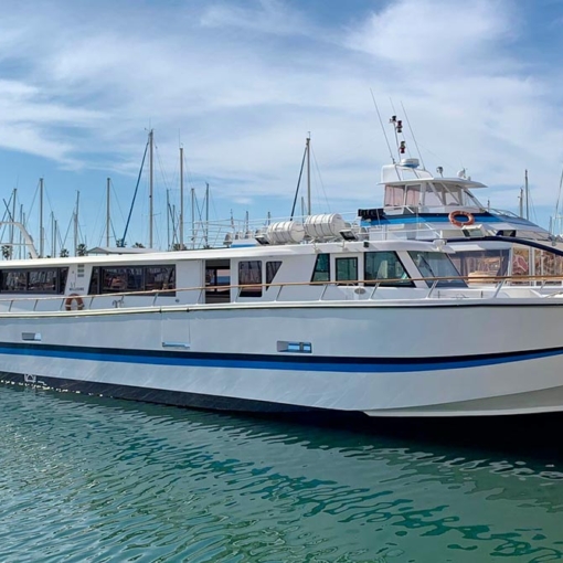 Grand bateau blanc amarré au port, prêt à accueillir les passagers pour une croisière en mer Méditerranée.