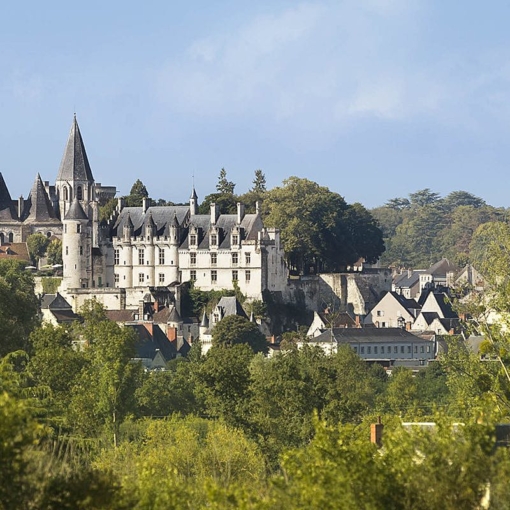 Vue panoramique sur la Cité Royale de Loches entourée de verdure, joyau médiéval du Val de Loire