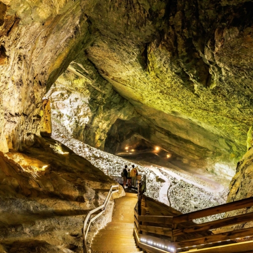 Descente spectaculaire dans les Grottes du Cerdon à Labalme, un voyage souterrain au cœur de la pierre et de la préhistoire.