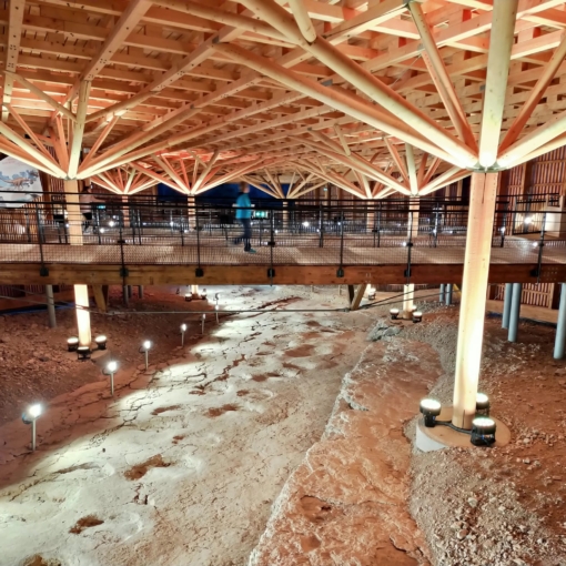 Traces fossilisées de dinosaures sous une passerelle en bois à Dinoplagne.