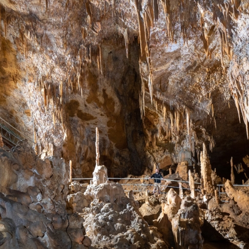 Formation impressionnante de stalactites et stalagmites illuminées dans la Grotte de Foissac, joyau souterrain du Lot.