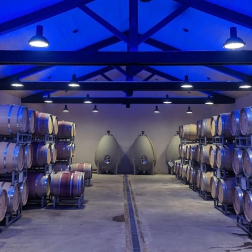 Cave du Domaine de la Baume avec rangées de barriques et cuves en béton.