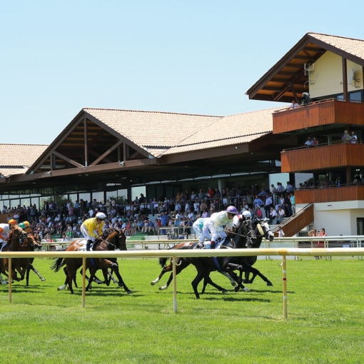 Course hippique à l’Hippodrome de La Teste-de-Buch, cavaliers lancés à pleine vitesse devant les tribunes animées.