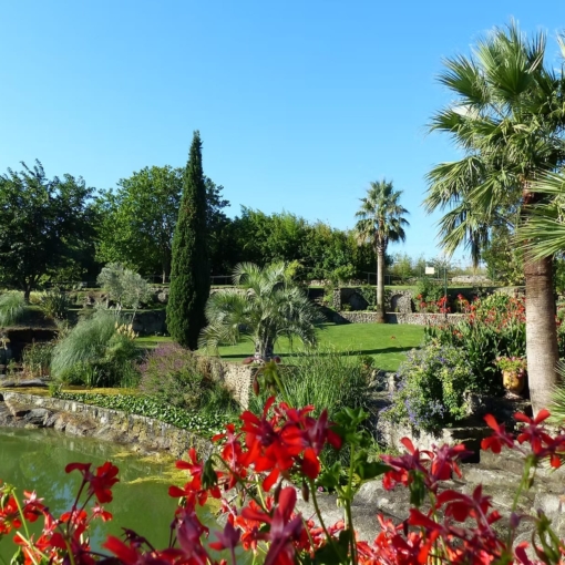 Vue sur les bassins et les palmiers du Jardin de Saint-Adrien.
