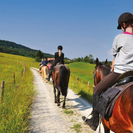 Balade à cheval du ranch Les Gaillardels
