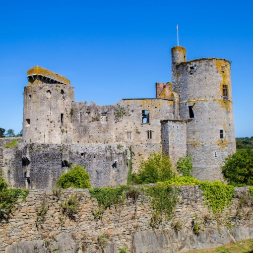 Vue du château de Clisson avec ses remparts et tours en pierre, vestige médiéval entouré de verdure sous un ciel bleu