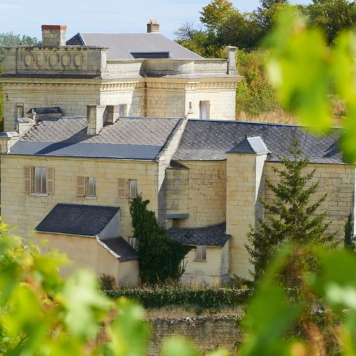 Vue du Château de Parnay partiellement caché par les vignes verdoyantes