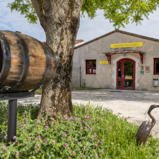 Entrée du Domaine des Claires à Arvert avec son caveau de dégustation au cœur du vignoble charentais